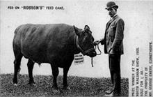 1905 Advertising card showing Mr. George Emery prize-winning entry into the North Walsham Agricultural Show