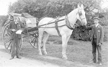 Barker's Grocers delivery cart The Butchery, North Walsham.