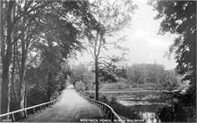 Captain's Pond (Westwick Ponds) North Walsham c1920