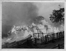 Fire at Farman's stack yard of reeds in Park Lane, North Walsham near the Aylsham Road junction.(see scouts in 1927).