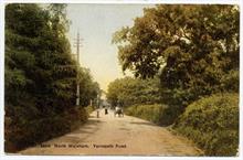 Yarmouth Road, North Walsham, looking north towards the town.