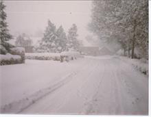 Yarmouth Road, North Walsham.