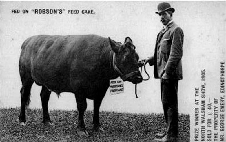 Photograph. 1905 Advertising card showing Mr. George Emery prize-winning entry into the North Walsham Agricultural Show (North Walsham Archive).