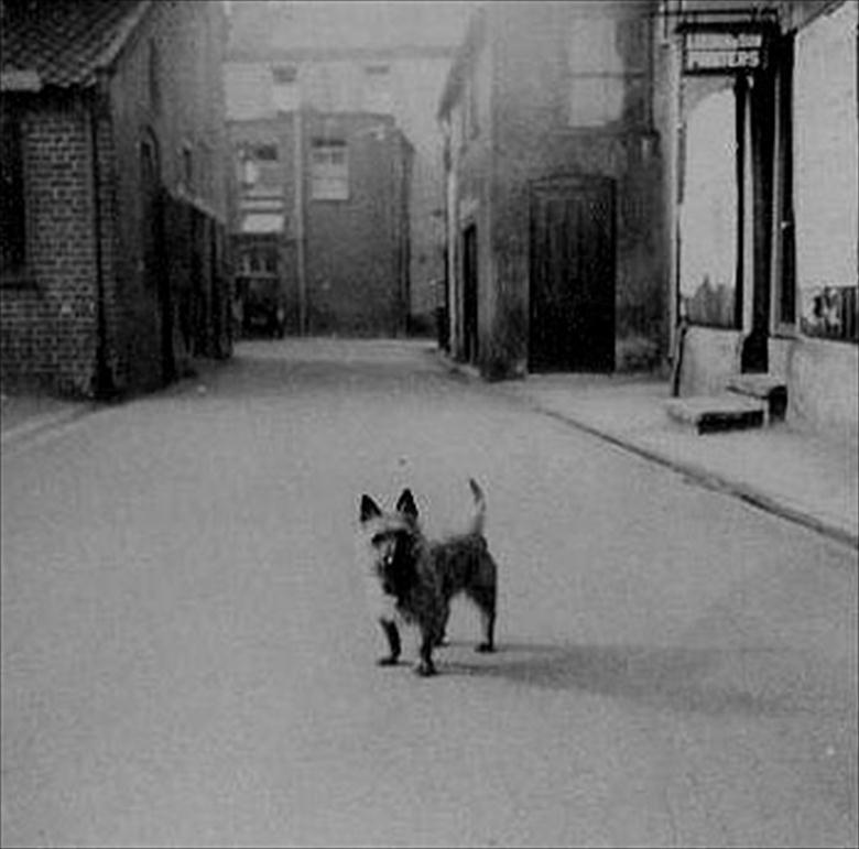 Photograph. Bank Loke, Barclays Bank flanked left by Bank Garage, Right by Ling Chemist's Bottle Store. Far Right, Leeders Printers. Gyp in foreground. (North Walsham Archive).