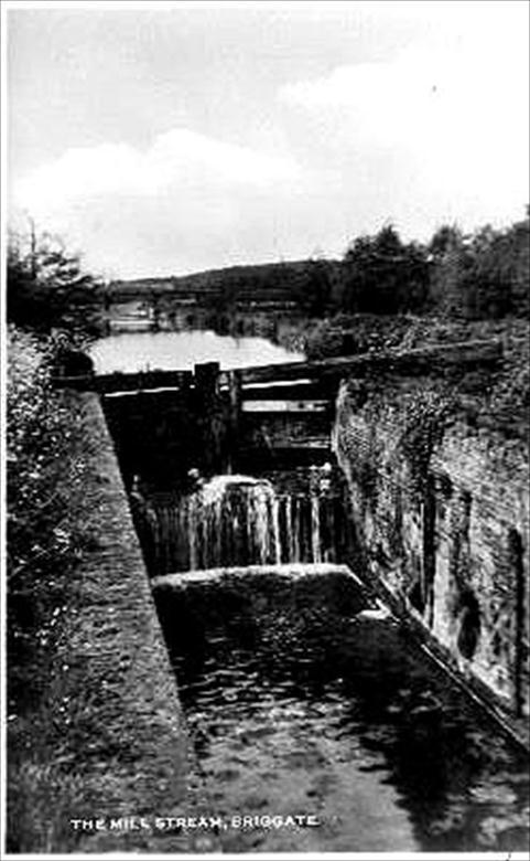 Photograph. Briggate Mill Lock, looking North. (North Walsham Archive).