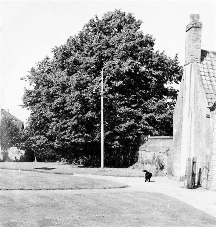 Photograph. Churchyard and Ship Yard, North Walsham. (North Walsham Archive).