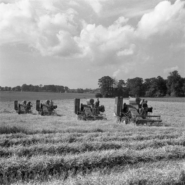 Photograph. Combines at Paston in 1954 (North Walsham Archive).