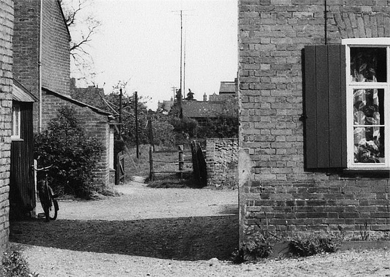 Photograph. Dog Yard, North Walsham. 3rd November 1960. (North Walsham Archive).