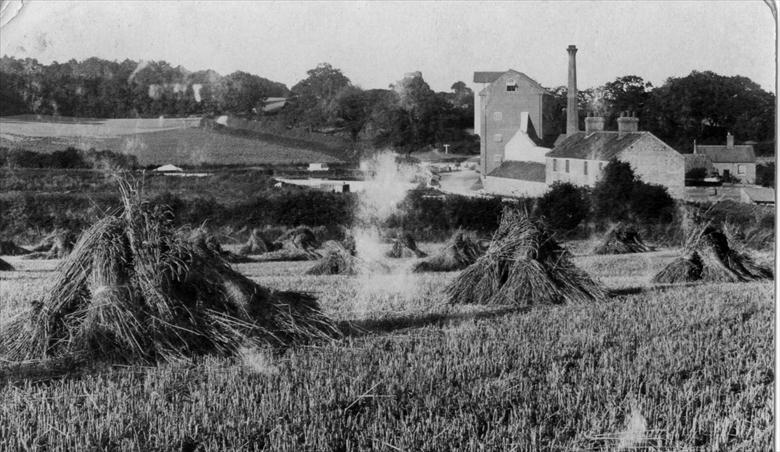 Photograph. Ebridge Mills, White Horse Common, North Walsham from the hill to the south west......... postcard (North Walsham Archive).