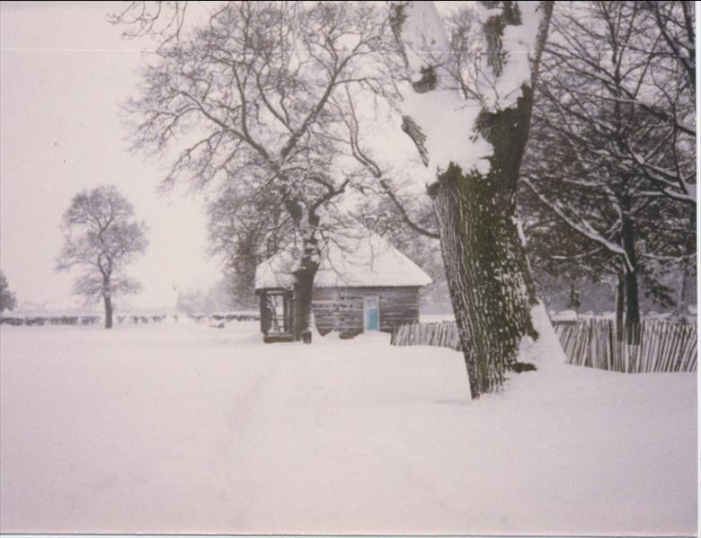 Photograph. Memorial Park, North Walsham. (North Walsham Archive).