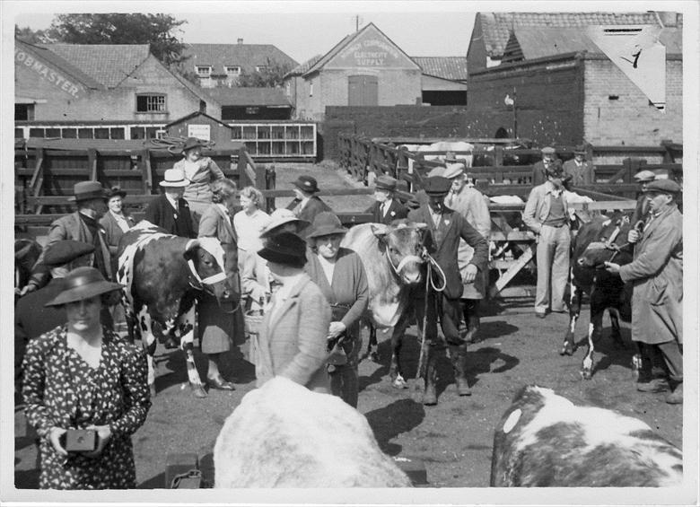 Photograph. North Walsham Calf Club, on North Walsham Cattle Market, Yarmouth Road, North Walsham. Site of Roys Store. Photo R.E.R.Ling (North Walsham Archive).