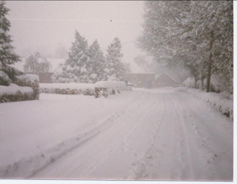 Photograph. Yarmouth Road, North Walsham. (North Walsham Archive).