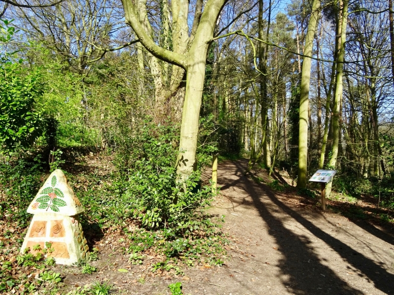 sadlers wood north walsham