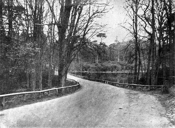 The Causeway - Westwick Pond / Captain's Pond